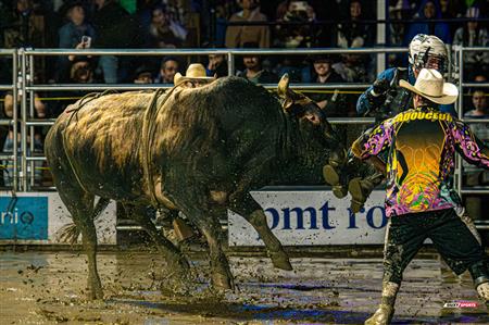 2024 - Rodéo Sainte Catherine de la Jacques Cartier, par Steve Plante