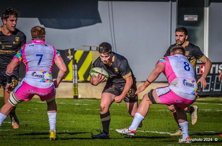 Challenge Cup - Perpignan (23) vs (32) Newcastle Falcons