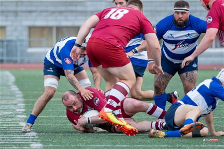ECRC 2024 - Rugby Québec (38) vs (22) Rock Newfoundland -  Match
