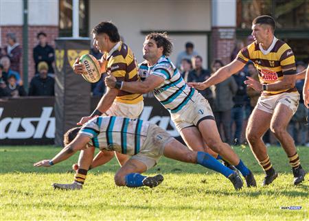 URBA 2024 - Top 12 Superior - Belgrano Athletic (16) vs (19) San Isidro Club