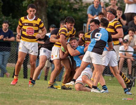 URBA 2024 - Club Universitario de Buenos Aires (41) vs (42) Belgrano Athletic