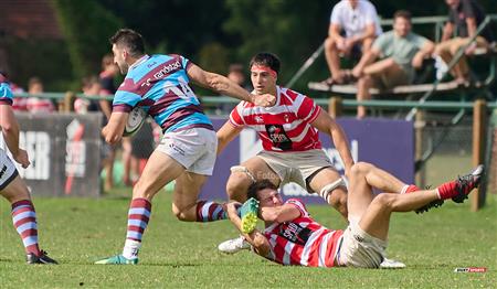 URBA 2024 - TOP 12 Intermedia - ALUMNI (54) VS (10) Atlético del Rosario