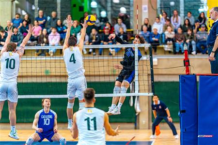 RSEQ - 2024 VOLLEY M - U DE MONTRÉAL (1) VS (3) U DE SHERBROOKE - Reel 2