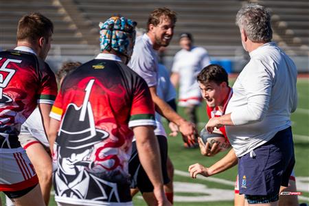 2024 McGill Alumni Rugby Reunion