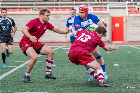 ECRC 2024 - Rugby Québec (38) vs (22) Rock Newfoundland -  Match