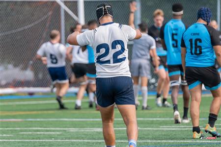 RQ 2024 - Finales - LPR1 M2 - SABRFC (39) vs (17) Wanderers