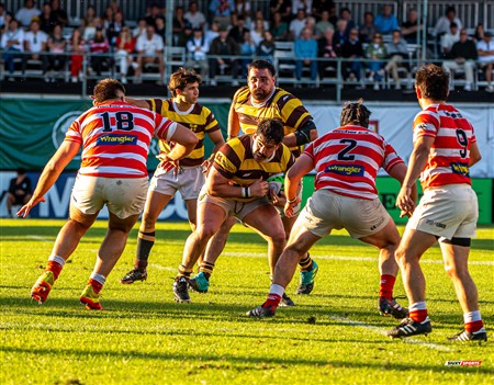 URBA 2024 - Top 12 - Final - Belgrano Athletic (17) vs (20) Asociacion Alumni