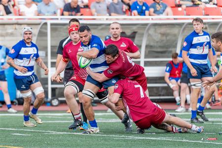 ECRC 2024 - Rugby Québec (38) vs (22) Rock Newfoundland -  Match