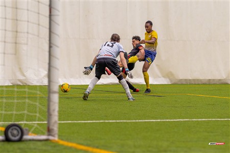 TKL 2024 Div 2 - FC Lion vs Arsenal de Montréal - Match hors championnat