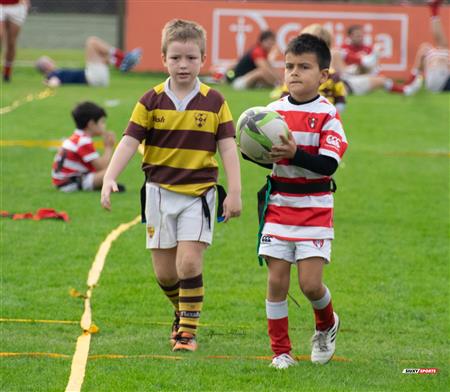 URBA 2024 - Top 12 Superior - Alumni (9) vs (22) Belgrano Athletic Club