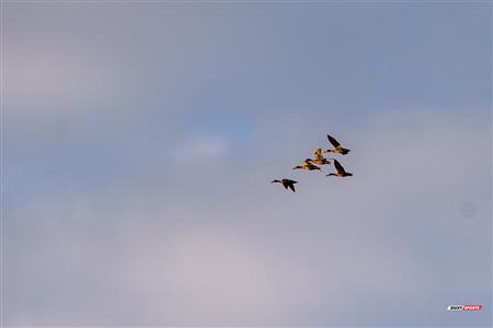 RQ 2024 - LPR1 M2 - Montreal Wanderers RFC vs Westmount RC (12x12 players)