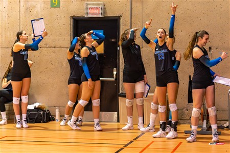 RSEQ 2024 Volleyball Fém - Université de Montréal (3) vs (2) UQAM - Reel 2