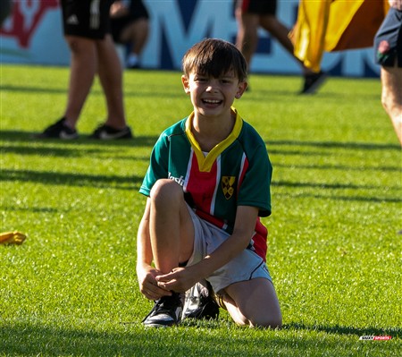 URBA 2024 - Top 12 - Final - Belgrano Athletic (17) vs (20) Asociacion Alumni