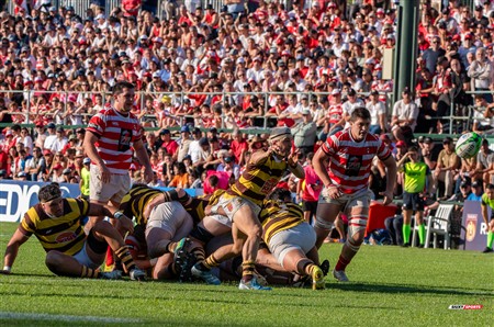 URBA 2024 - Top 12 - Final - Belgrano Athletic (17) vs (20) Asociacion Alumni