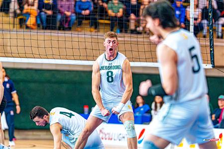 RSEQ - 2024 VOLLEY M - U DE MONTRÉAL (1) VS (3) U DE SHERBROOKE - Reel 1