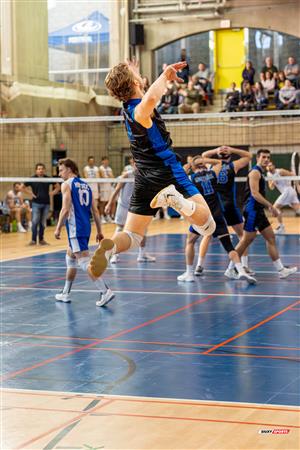 RSEQ - 2024 VOLLEY M - U DE MONTRÉAL (1) VS (3) U DE SHERBROOKE - Reel 2