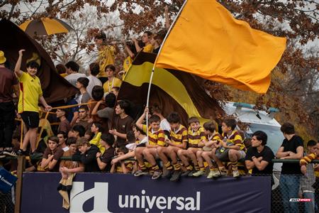 URBA 2024 - Top 12 Superior - Alumni (9) vs (22) Belgrano Athletic Club