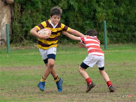 URBA 2024 - Top 12 Superior - Alumni (9) vs (22) Belgrano Athletic Club