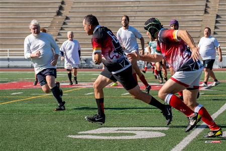 2024 McGill Alumni Rugby Reunion