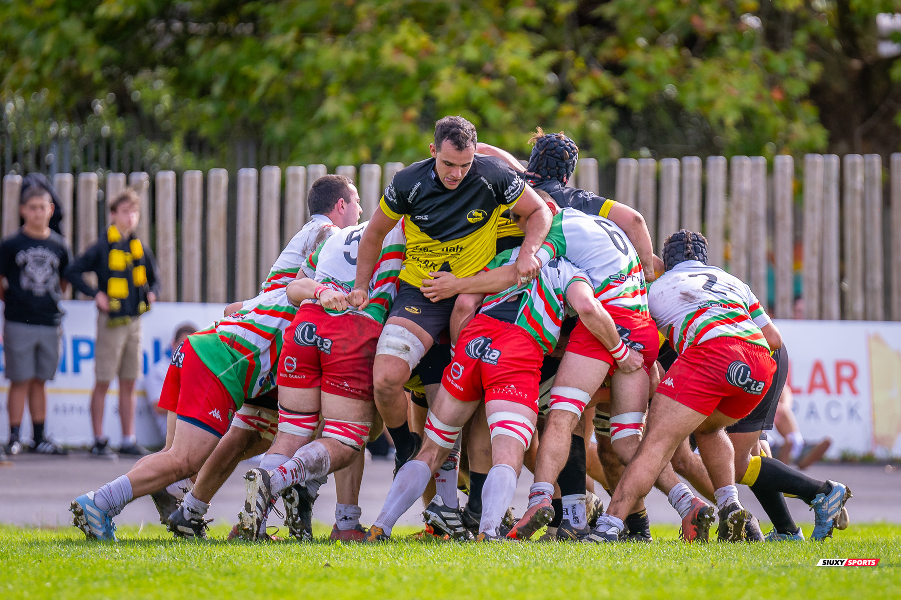  Getxo Artea Rugby Taldea - Hernani Club Rugby Elkartea - Rugby - FER 2024 - Getxo Artea Rugby Taldea (41) vs (8) Hernani Club Rugby Elkartea  (#FER24GETHER10) Photo by: Fredy Monfoto | Siuxy Sports 2024-10-20