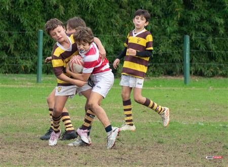 URBA 2024 - Top 12 Superior - Alumni (9) vs (22) Belgrano Athletic Club