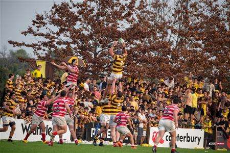 URBA 2024 - Top 12 Superior - Alumni (9) vs (22) Belgrano Athletic Club