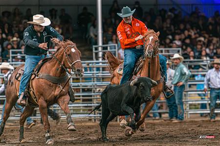 2024 - Rodéo Sainte Catherine de la Jacques Cartier, par Steve Plante