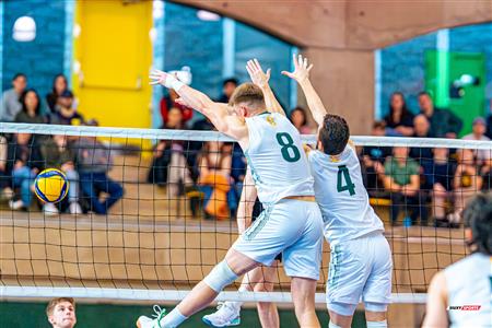 RSEQ - 2024 VOLLEY M - U DE MONTRÉAL (1) VS (3) U DE SHERBROOKE - Reel 1