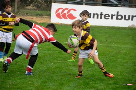 URBA 2024 - Top 12 Superior - Alumni (9) vs (22) Belgrano Athletic Club