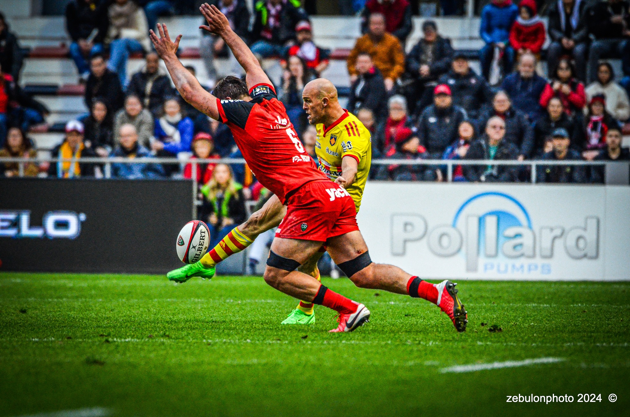  RC Toulonnais - US Arlequins Perpignanais - Rugby - TOP 14 - Toulon (44) vs (22) Perpignan (#TOP1424RCTUSAP03) Photo by: Photo Zebulon | Siuxy Sports 2024-03-02