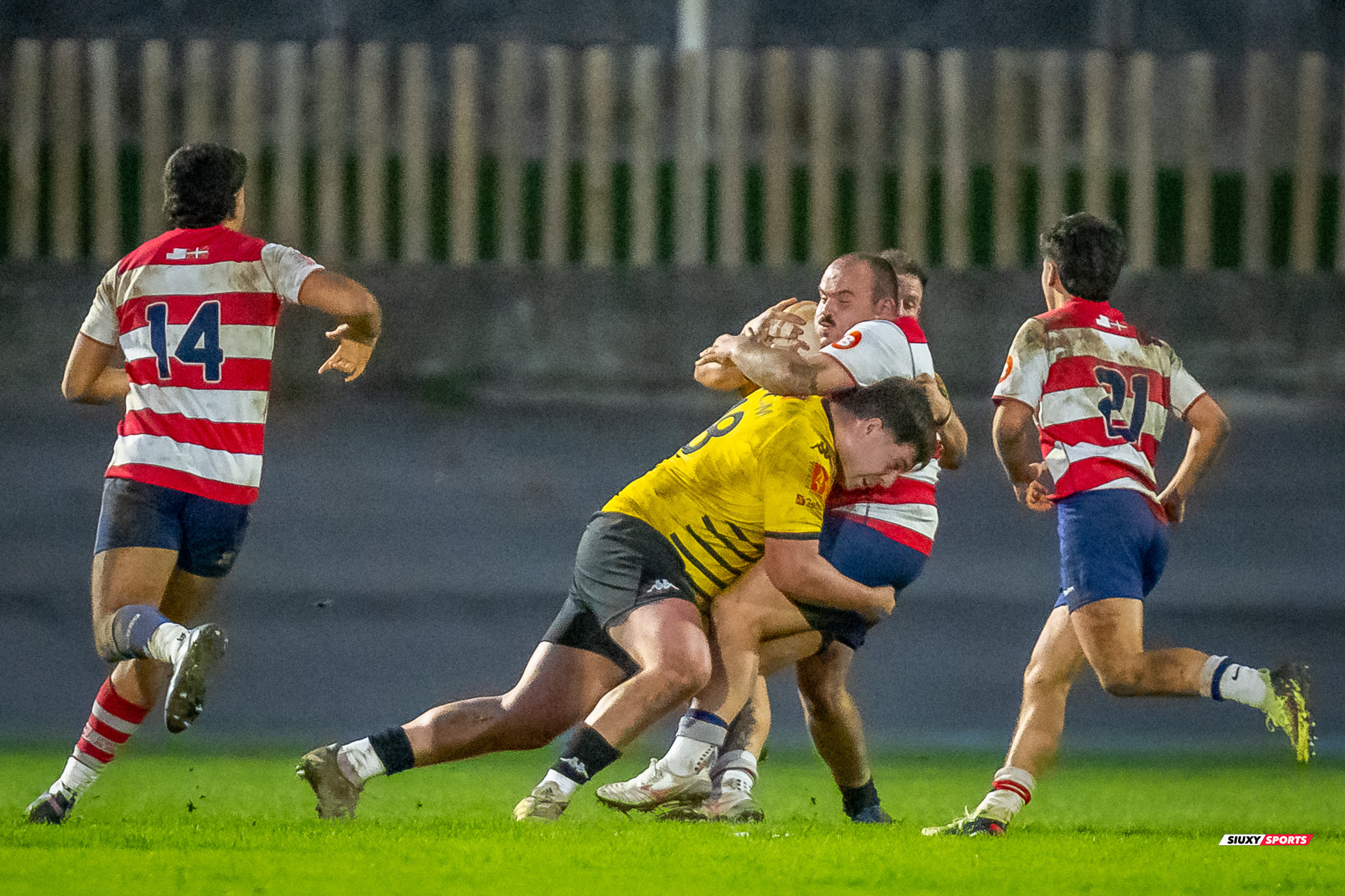  Getxo Artea Rugby Taldea - Universitario Bilbao Rugby - Rugby - FER 2024 - DHB - Getxo RT (35) vs (14) Universitario Bilbao Rugby (#FER24DHBGRTUBR11) Photo by: Fredy Monfoto | Siuxy Sports 2024-11-30