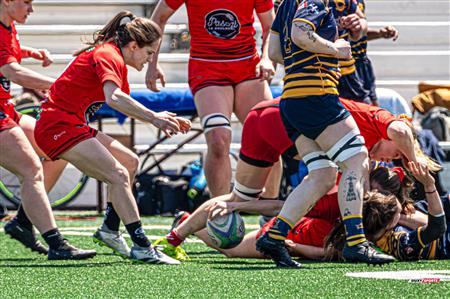 RQ 2024 - SUPER LIGUE F - TMR (5) - (74) CLUB DE RUGBY DE QUÉBEC -  Reel 2