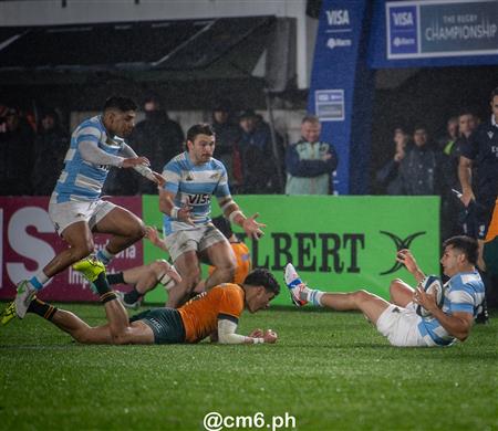 Rugby Championship 2024 - Argentina Pumas (19) vs (20) Australia Wallabies