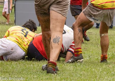 URBA 2024 - 1ra C - Areco RC (19) vs (7) Mercedes RC