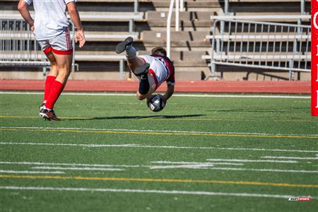 2024 McGill Alumni Rugby Reunion
