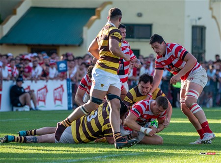 URBA 2024 - Top 12 - Final - Belgrano Athletic (17) vs (20) Asociacion Alumni