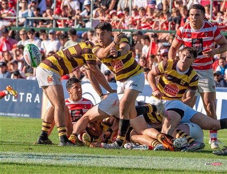 URBA 2024 - Top 12 - Final - Belgrano Athletic (17) vs (20) Asociacion Alumni