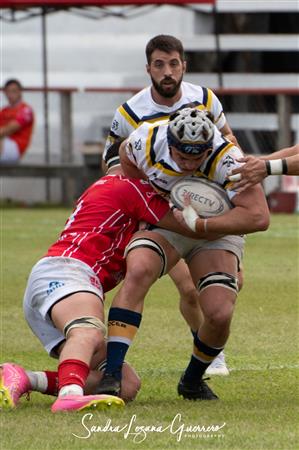 URT 2024 - LOS TARCOS RC (30) VS (34) TUCUMAN LAWN TENNIS CLUB