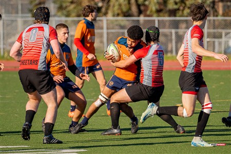 RSEQ 2024 - Démi Finale Rugby Masc Cegep - André Laurendeau (50) vs (20) Vanier