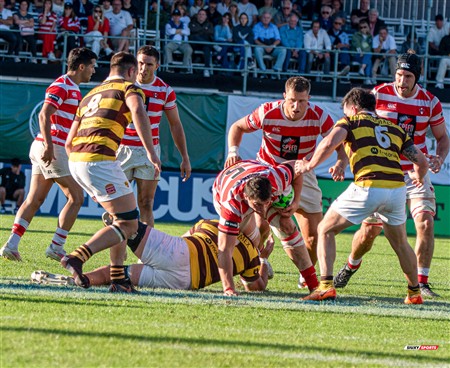 URBA 2024 - Top 12 - Final - Belgrano Athletic (17) vs (20) Asociacion Alumni