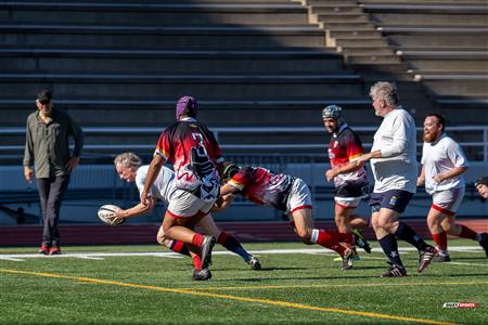 2024 McGill Alumni Rugby Reunion