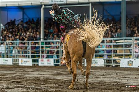 2024 - Rodéo Sainte Catherine de la Jacques Cartier, par Steve Plante