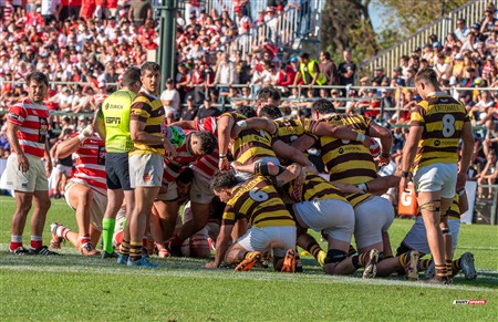 URBA 2024 - Top 12 - Final - Belgrano Athletic (17) vs (20) Asociacion Alumni