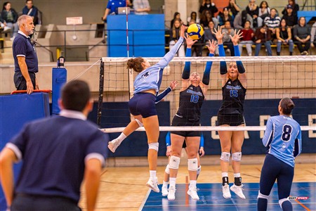 RSEQ 2024 Volleyball Fém - Université de Montréal (3) vs (2) UQAM - Reel 2