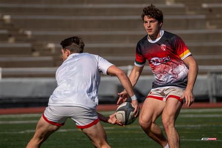2024 McGill Alumni Rugby Reunion