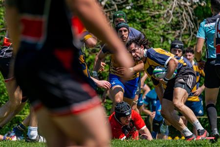 RQ 2024 - Super Ligue M - Beaconsfield RFC (24) vs (33) Town of Mount Royal RFC