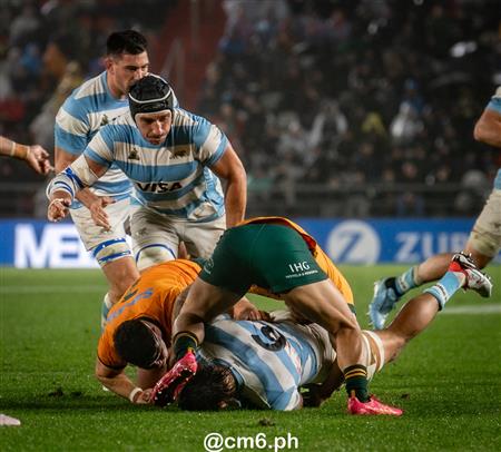 Rugby Championship 2024 - Argentina Pumas (19) vs (20) Australia Wallabies