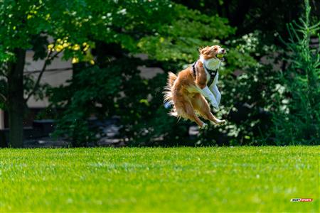 RQ 2024 - LPR2F - Westmount RC vs Montreal Irish RFC