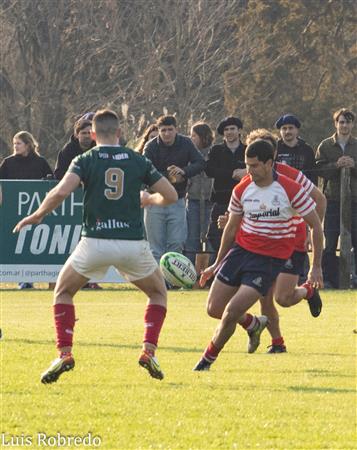 URBA 2024 - 1C - Areco (14) vs (59) SITAS