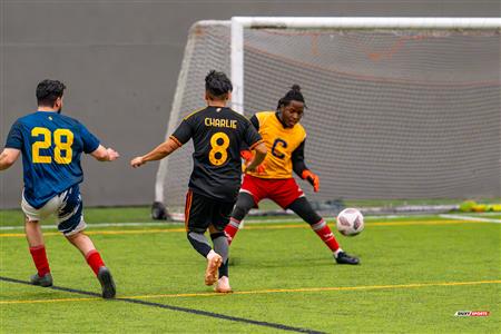 TKL 2024 DIV 2 - FC Lion (3) vs (4) Bolos TKL